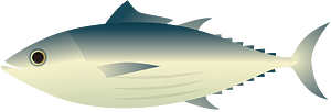 Skipjack tuna