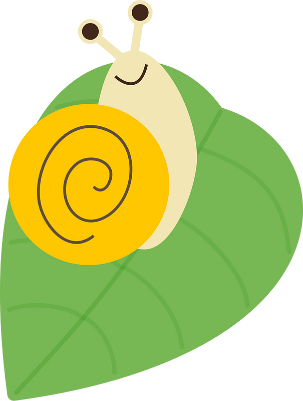 Snail rainy season