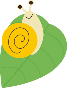 Snail rainy season