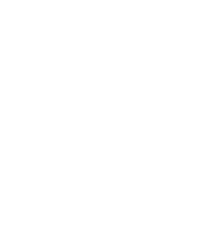 Snow crystal