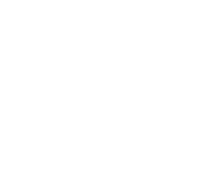 Snow crystal