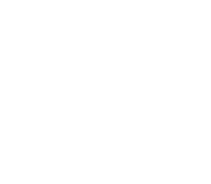Snow crystal