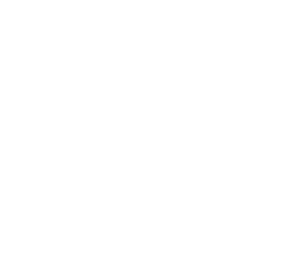 Snow crystal