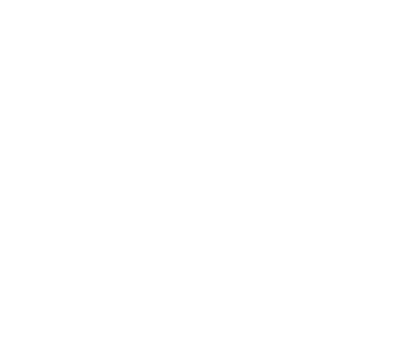 Snow crystal