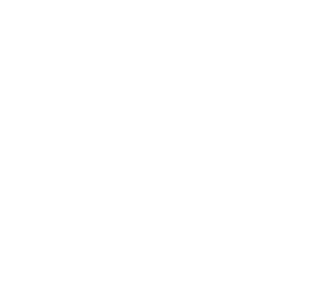 Snow crystal