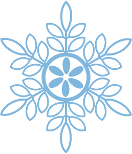 Snowflake winter