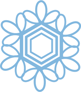 Snowflake winter
