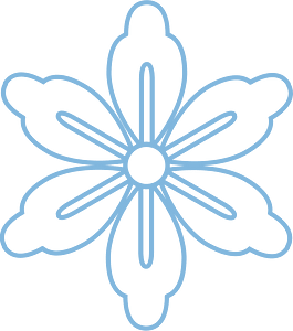 Snowflake winter
