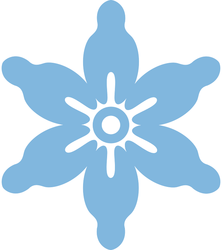 Snowflake winter