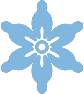 Snowflake winter