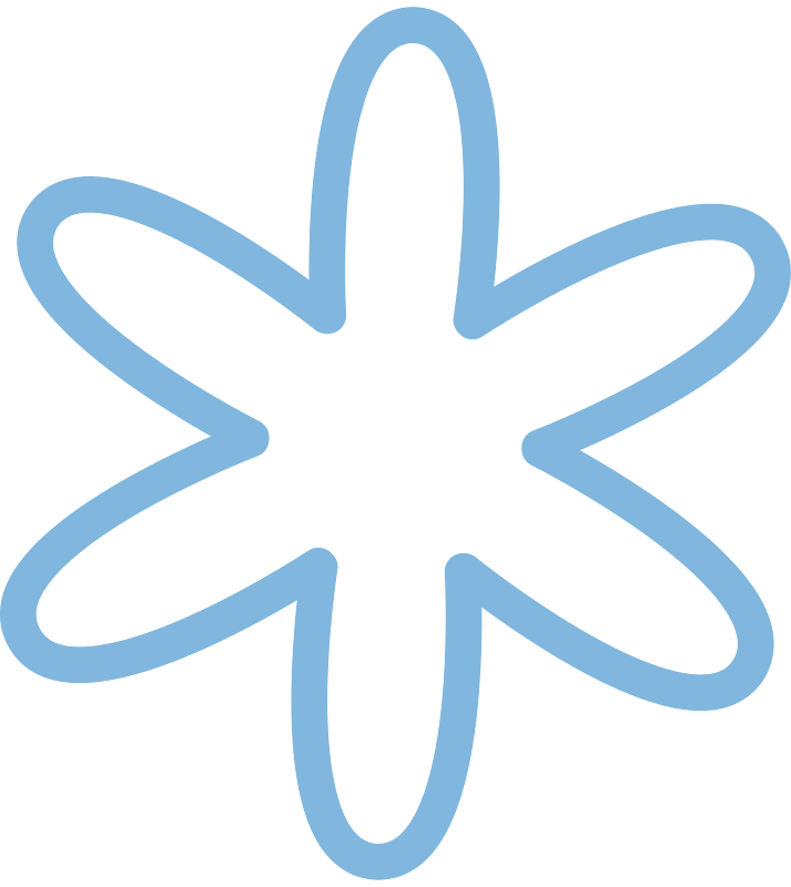 Snowflake winter