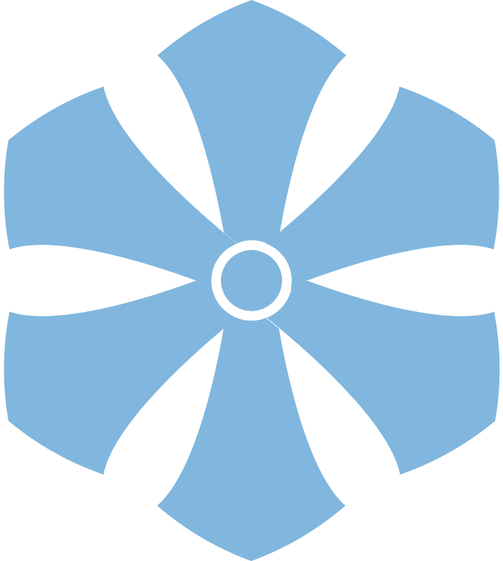 Snowflake winter