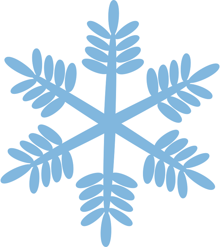 Snowflake winter