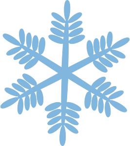 Snowflake winter