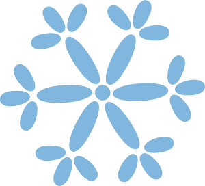 Snowflake winter