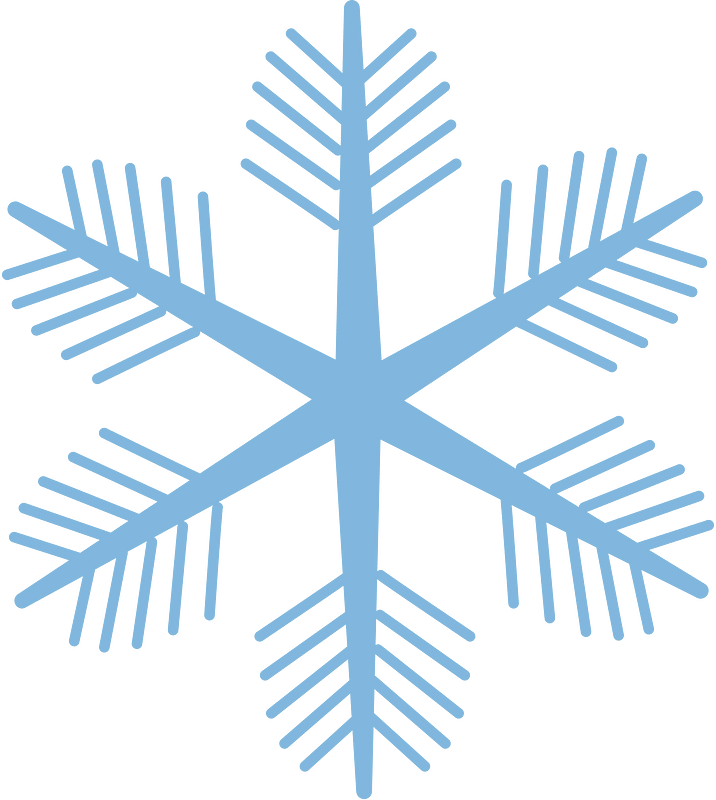 Snowflake winter