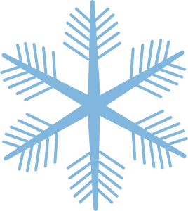 Snowflake winter