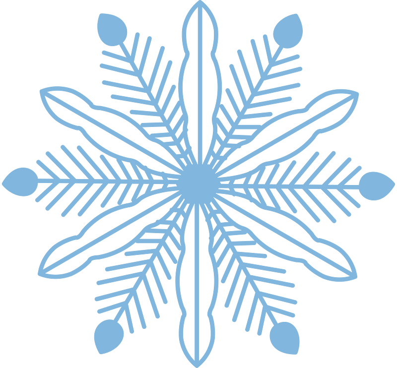 Snowflake winter