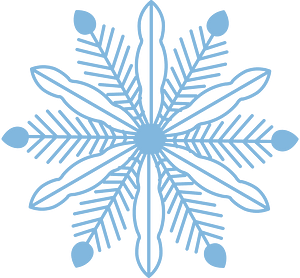 Snowflake winter
