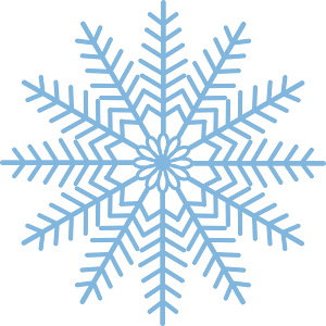 Snowflake winter