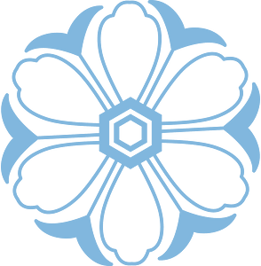 Snowflake winter