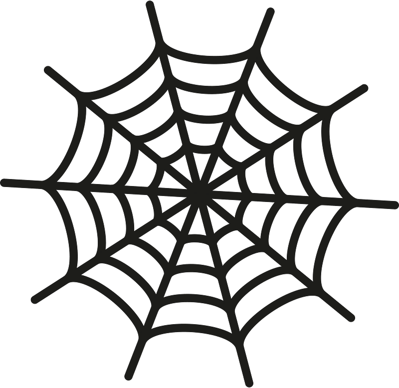 Spider web