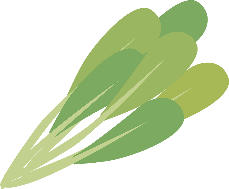 ほうれん草