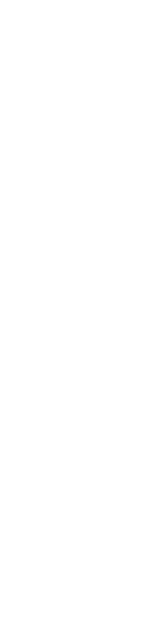 Spoon