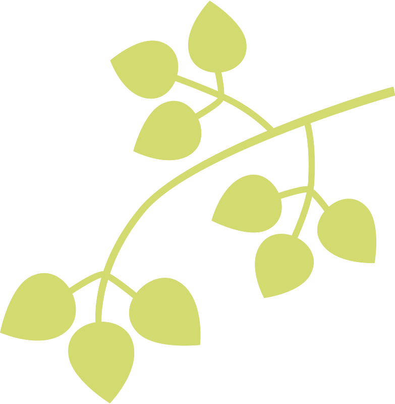 Sprig