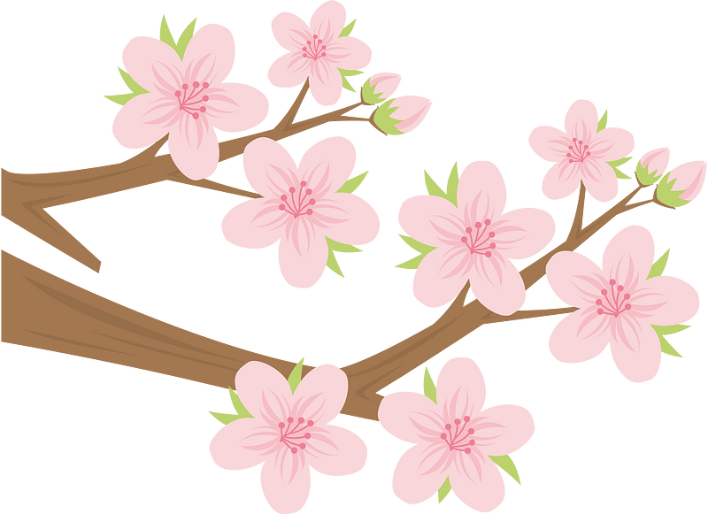 Spring flower