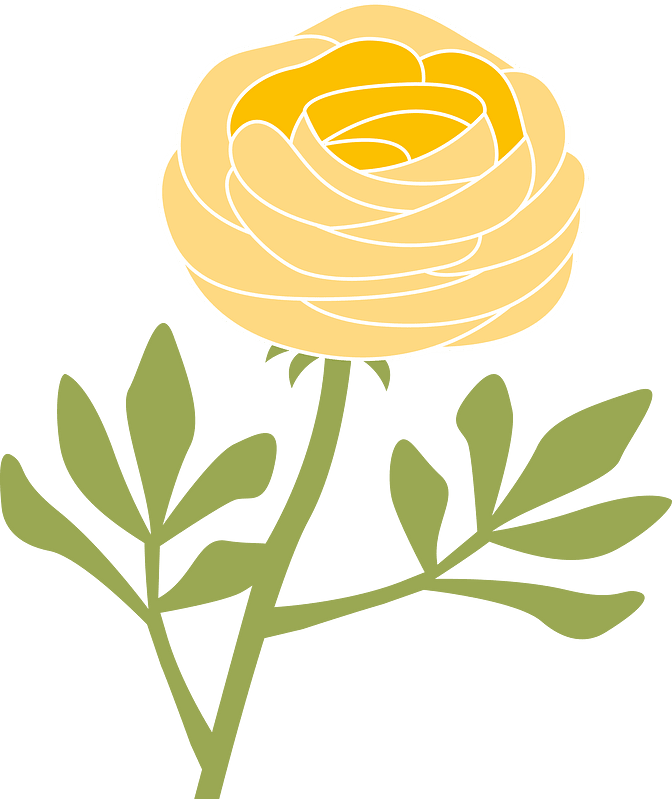 Spring flower
