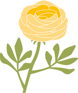 Spring flower