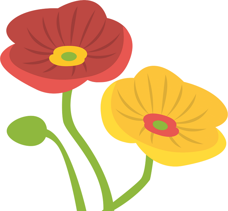 Spring flower