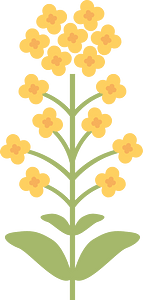 Spring flower