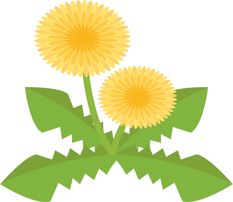 Spring flower