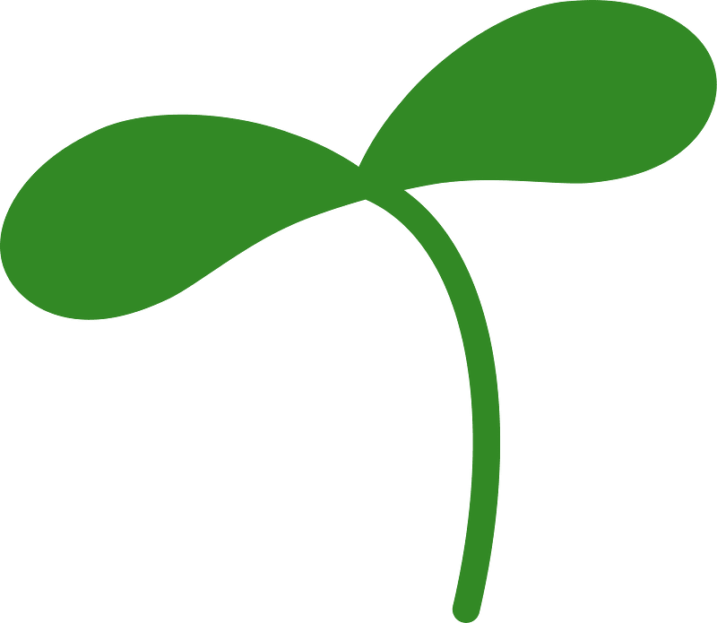 Sprout plant