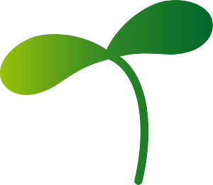 Sprout plant