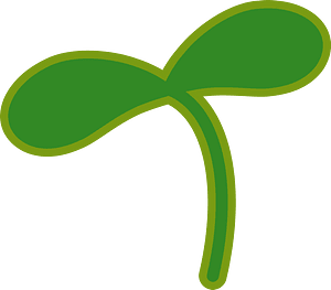 Sprout plant