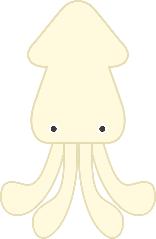 Squid cuttlefish