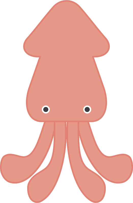 Squid cuttlefish