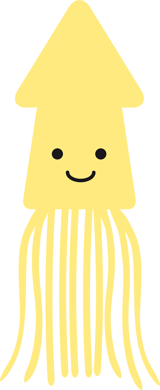Squid cuttlefish