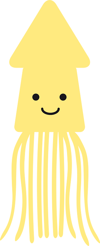 Squid cuttlefish