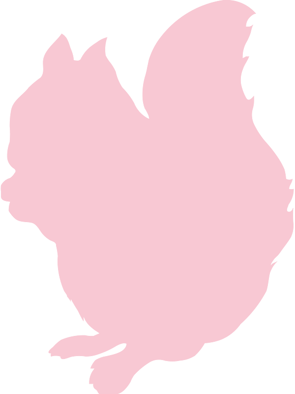 Squirell