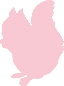 Squirell