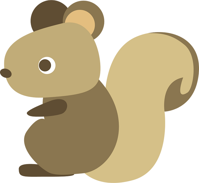 Squirrel