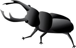 Stag beetle