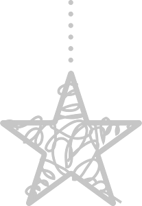 Star decoration