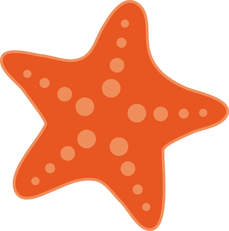 Starfish animal