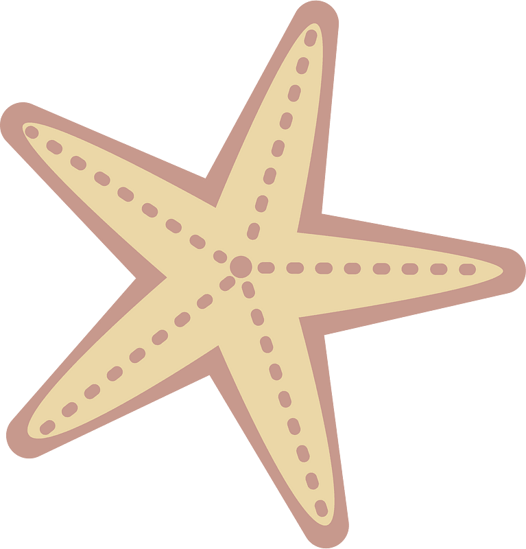Starfish animal