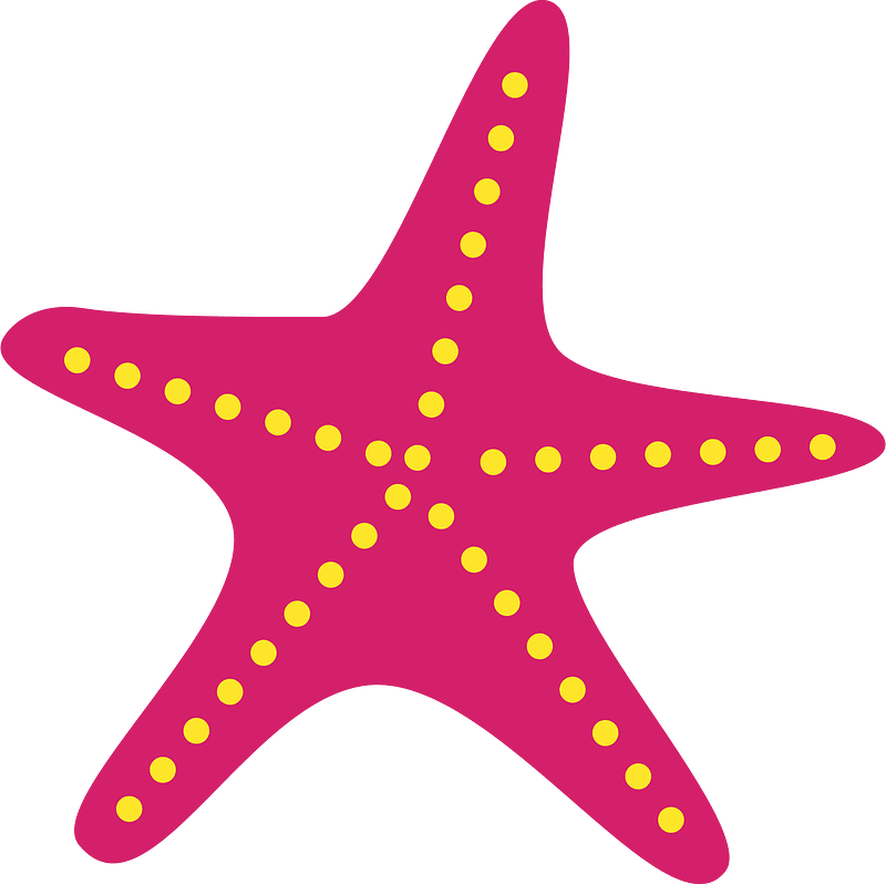 Starfish animal